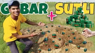 100 SUTLI vs GOBAR - गोबर मे लगा दिये सुतली बम l #Diwalispecial