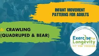 Infant Movement Patterns for Adults 6  Crawling Quadruped & Bear