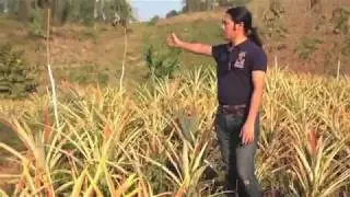 Agri Eco Tourism Project by Dr. Bremley W. B. Lyngdoh - Worldview Impact Foundation
