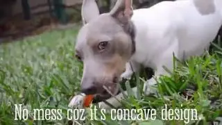 Pet Qwerks Flavorit Bone Dog Chews