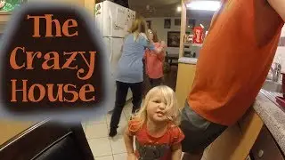 The Crazy House