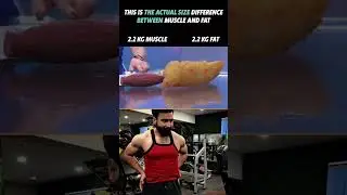 size difference between muscle and fat #fitness #shorts