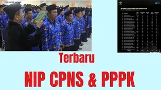 Progres penetapan NIP cpns dan pppk