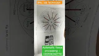 Automatic tissue processing:- Histokinette