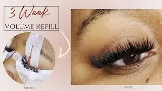 3 Week Volume Extension Refill | LWM (Lash with Me) from start to finish