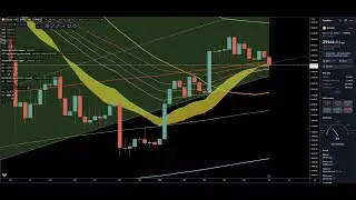 Bitcoin Weekly RSI support levels