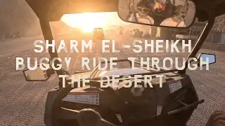 Sharm el-Sheikh buggy ride through the desert | #gopro