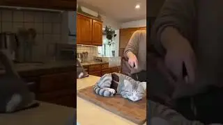 Real Cat Freaks Out as Woman Cuts a Hyper-Realistic Cat Cake 🐱🍰 | Viral Reaction! #catcake #cat