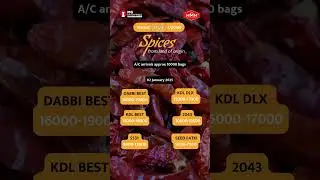 Byadgi Chilli Market Update Guntur Market Rates 02 January 2025 | #newarrivals  and #priceupdates