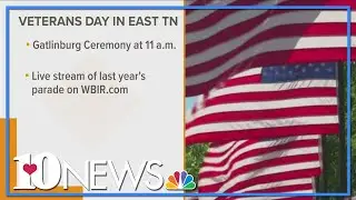 Thank you for your service! Veterans Day 2020 events & freebies