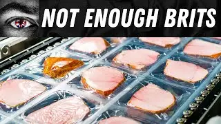 British meat industry after Brexit with young talent worries