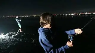 Catching A Massive Soupfin Shark