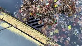 Storm drain plugged in Wisconsin
