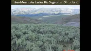Biophysical Settings Review in the Great Basin: What it is. How it works. Why it matters.