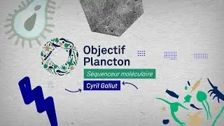Le séquenceur moléculaire et l'étude du plancton côtier en Bretagne 🔬