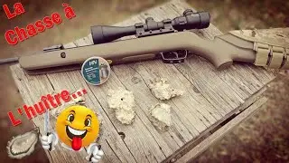 H&N Baracuda Hunter Extr&ecirc;me - Gamo Big Cat Barricade - Test &agrave; 25m