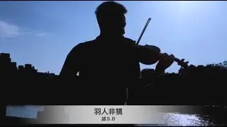羽獍弦歌｜霹靂布袋戲 羽人非獍｜誠S.B Violin Cover