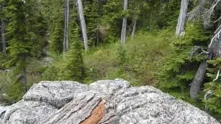 Al's Habrich Trail