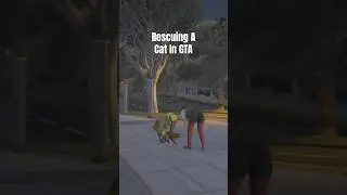 Rescuing A Kitty Cat In GTA 5 Online #gta5online #gta #gtaonline #gta5mission