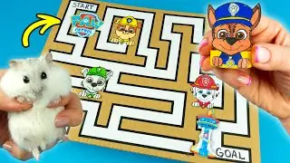 Hamster in PAW Patrol Maze 2022