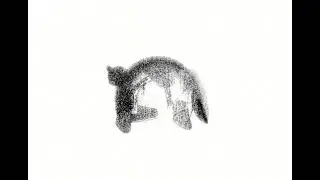 Oli XL &ndash;&nbsp;HOODIE MUSIC