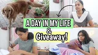 50K SUBSCRIBERS GIVEAWAY + CELEBRATION 💕