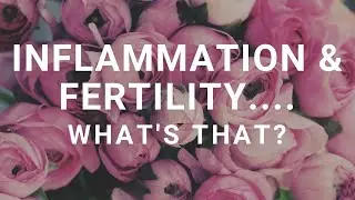Inflammation & Fertility.... What's That?
