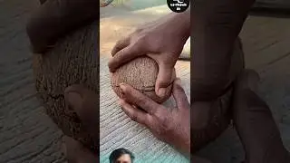 Farm fresh ninja fruit cutting #20 | Ly Chynh St #shorts