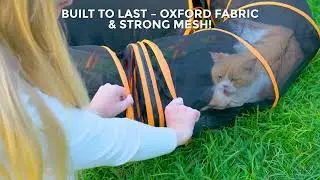 Expandable Playpen & Tent for Cats &ndash; Large Portable Enclosure with Tunnel, Zipper Door & Shade Cover