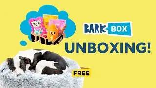 BARKBOX UNBOXING | June 2023 Theme