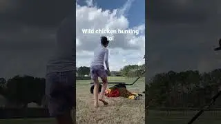 Wild chicken hunting skit #funny #skit