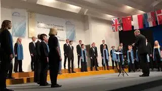 Gustavi Ungdomsk&ouml;r - The Tyger