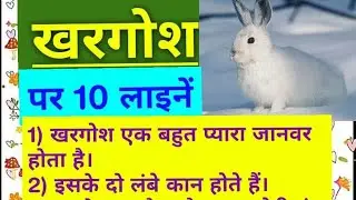 10 Lines on 'Rabbit' in Hindi : khargosh par 10 lines : खरगोश पर लाइने : Small Essay in Hindi
