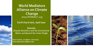 Dispute Resolution Before and Beyond the Green Pledge