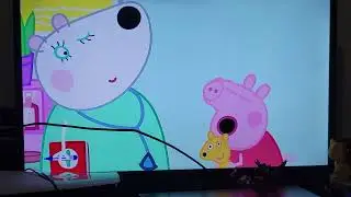 Peppa pig health check 