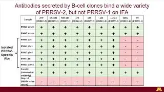 Dr. Jordan Young - Isolation and immortalization of PRRSV GP5 specific porcine B-cells