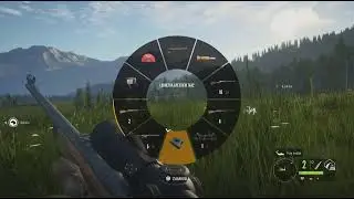 theHunter: Call of the Wild_20251219142700