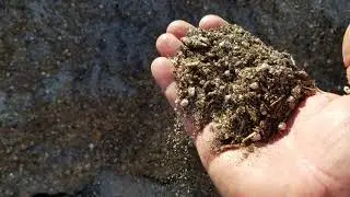 Different Types of Soil and Growing Media for Palms and Other Tropical Plants.