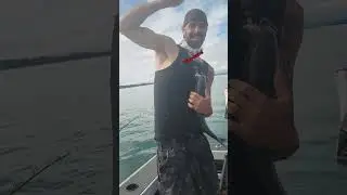 Tauranga Harbor Fishing with Roy