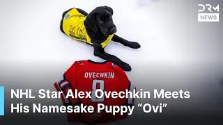 Heartwarming Moment: America&rsquo;s VetDogs Puppy &ldquo;Ovi&rdquo; Gets Star Treatment from Ovechkin | AO1B
