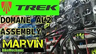 TREK DOMANE AL2 assembly