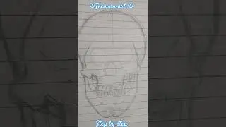 #art skeleton system skull by Teenvan art. easy step by step