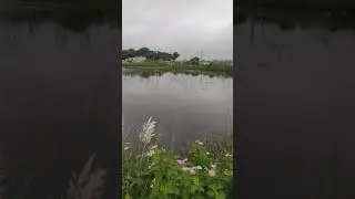 lake view #Ranchi #Lake #RanchiVeterinaryCollege #Shorts