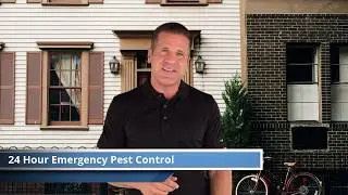 24 hour emergency pest control services