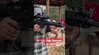 Rosco Manufacturing K9 12.5&rdquo; Sage Dynamics 5.56 NATO barrel!