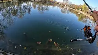 Alcune catture a spinning al mondo pesca di Treville || 4K