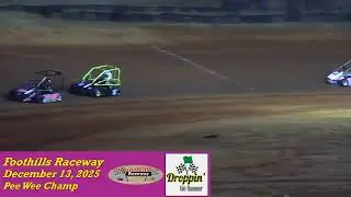 Real Deal Karting Series Foothills Raceway December 13, 2025 Pee Wee Champ