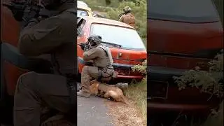 Military dogs in action #malinois #dog #foryou #k9 #military #tacticalshooter #dogtraining