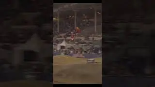 Red Bull Straight Rhythm Whip