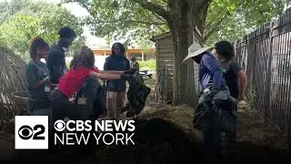 Wyckoff House Museum offers teens hands-on training, workshops with urban farmers